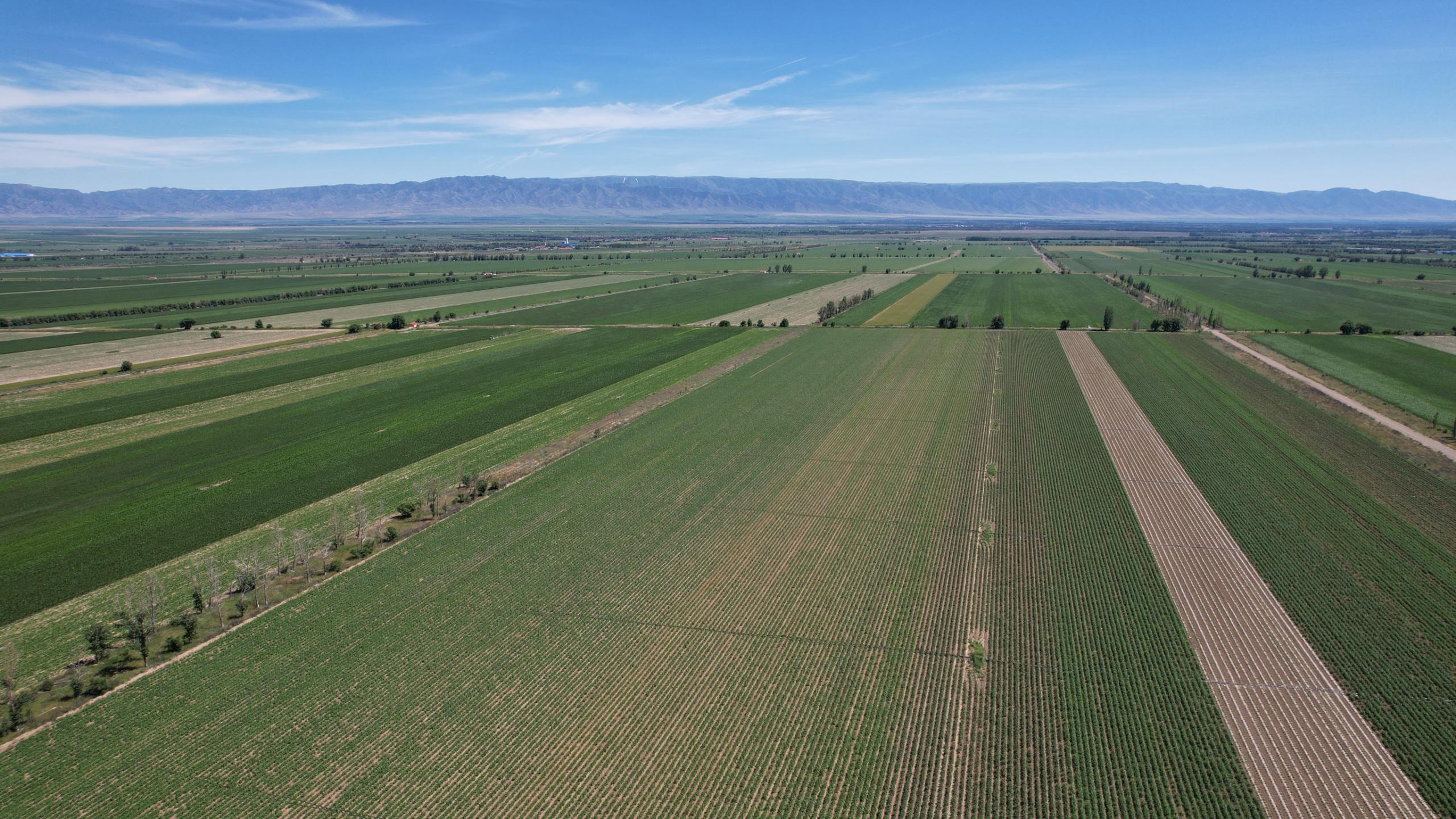 鹽津鋪子×農(nóng)心 重磅聯(lián)名——辣白菜薯片新鮮上市 鹽津鋪子×農(nóng)心 重磅聯(lián)名——辣白菜薯片新鮮上市