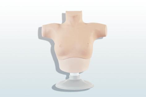 乳腺癌觸診、視診訓(xùn)練模型