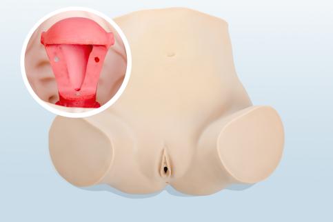 婦科上環(huán)、取環(huán)訓(xùn)練模型